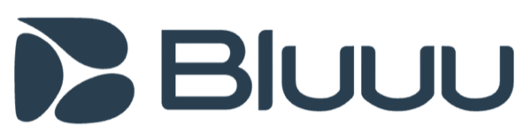 Bluu Tours